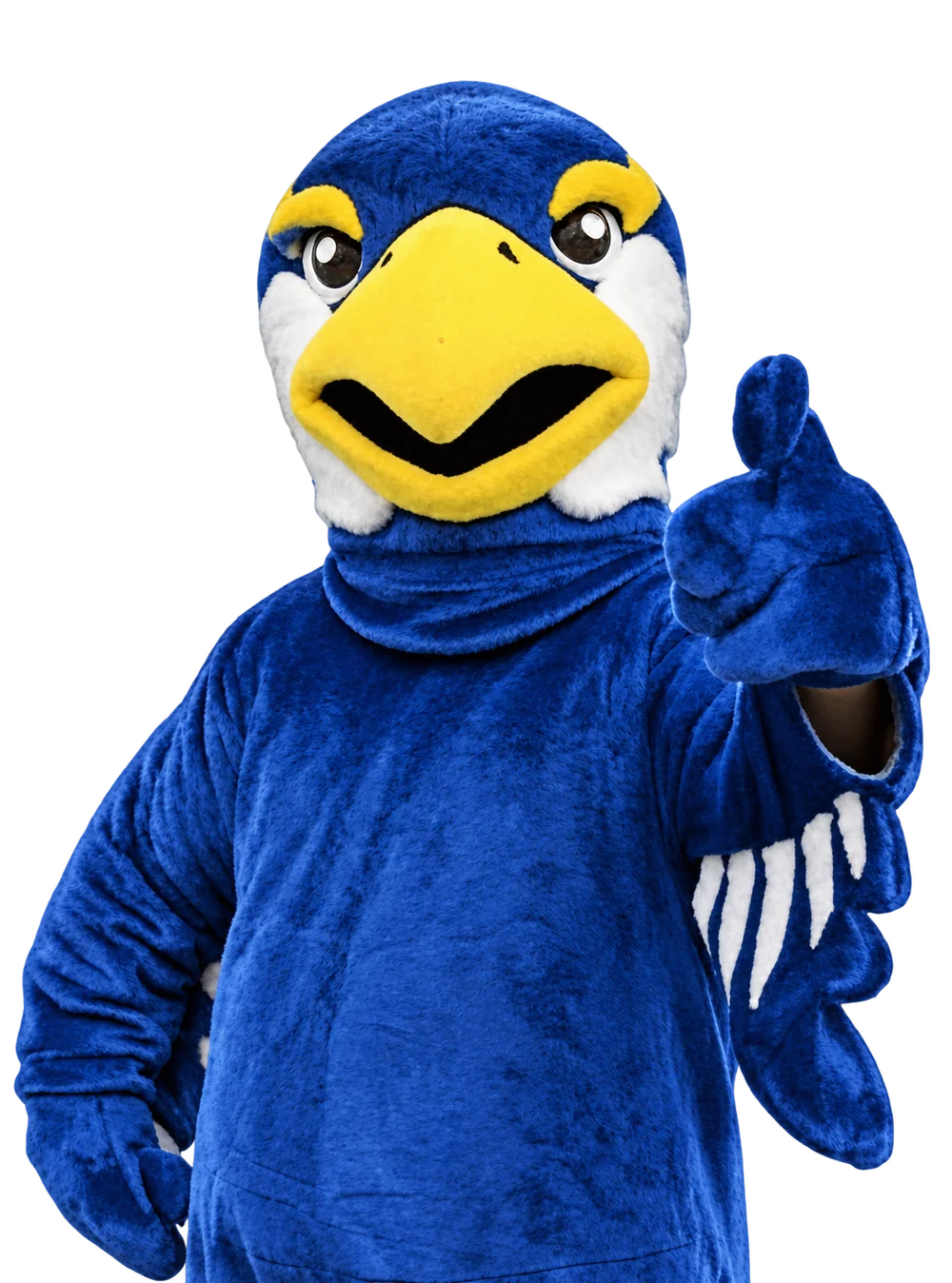 De mascotte van Studiebird steekt zijn duim op