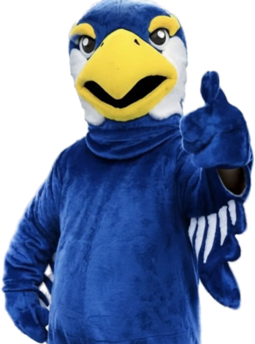 De mascotte van Studiebird steekt zijn duim op